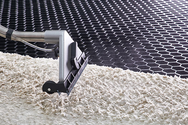 melbourne carpet cleaning